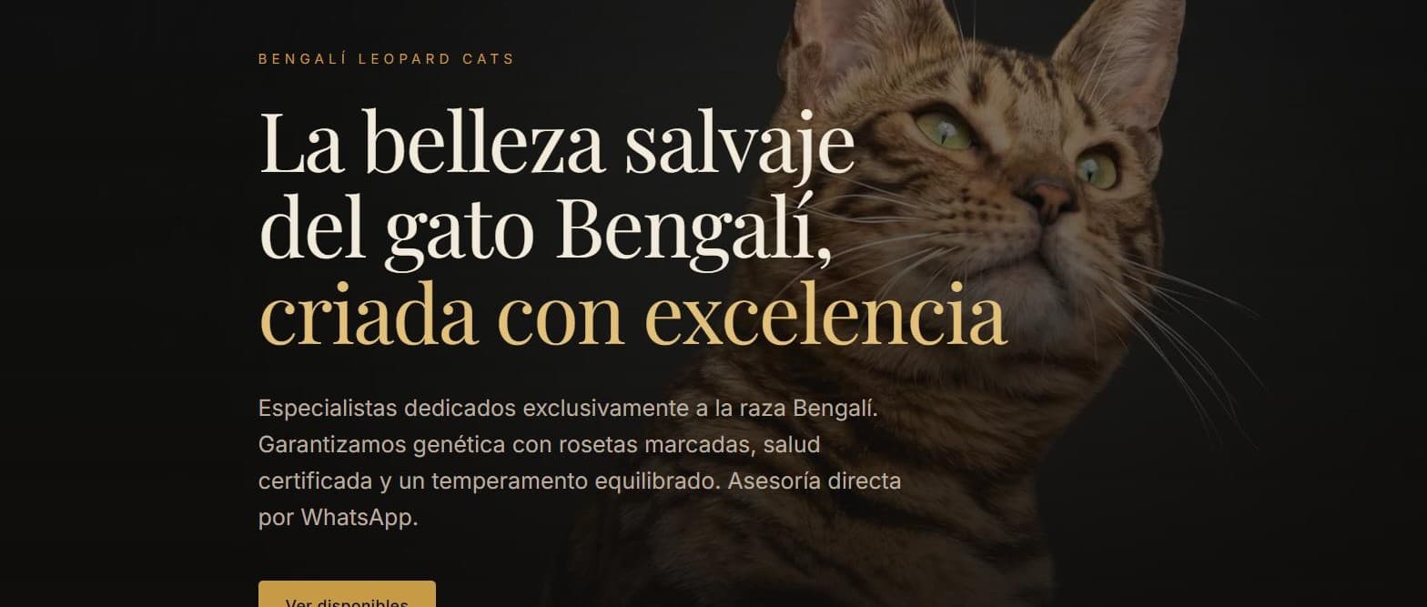 Bengalí Leopard Cats